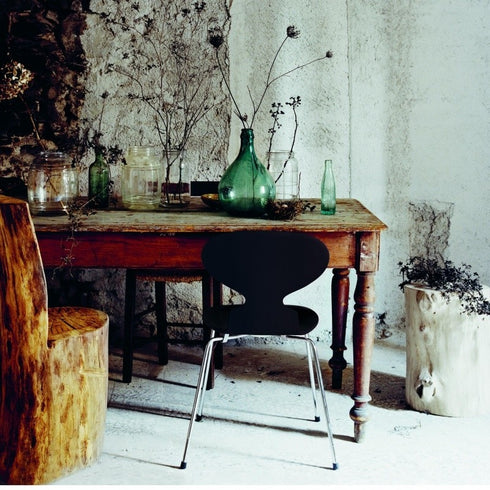 Ant™ Chair / Coloured Veneer